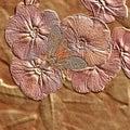 Background of flowers with a butterfly on a wooden texture