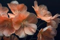 background flowers of pastel color peach fuzz