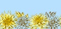 Background with fluffy yellow dahlias.