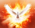 The background with flying dove and fire was created by Generative Al Pentecost.