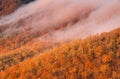 Background Fog Crawling across Treetops Blue Ridge Mountains Autumn