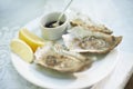 Background, food and plate of oysters in restaurant for lunch, dinner and eating appetizer of gourmet cuisine. Closeup