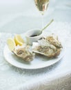 Background, food and plate of oysters with wine in restaurant for lunch, dinner and eating appetizer of gourmet cuisine