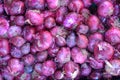 Background food texture of fresh raw red onions Royalty Free Stock Photo