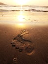 Background of a footprints on the seasand