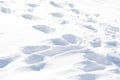 Background footprints in the snow