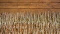 Background in the form of evenly spaced ears of rye on wooden boards