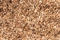 Background in the form of wood chips light brown