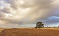 Background formed by a landscape of ocher lands under a cloudy sky and a small rainbow in the background.