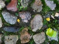 Background. fragment. texture. the old road is paved with wild stone, cobblestones. landscape design, natural style. Royalty Free Stock Photo