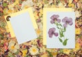 Background of fragments of broken flowers and leaves. Scrapbooking element consists mosaic of flowers, petals and frames, corners