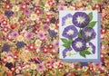 Background of fragments of broken flowers and leaves. Scrapbooking element consists mosaic of flowers, petals and frames, corners