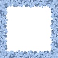 Background frame with blue plumbago flowers. Vector illustration.