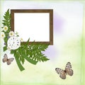 Background with frame, daisy, butterfly Royalty Free Stock Photo