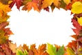 Background frame isolated colorful autumn leaves wedding party i