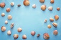 Background with frame of seashells on blue. Top view with copy s Royalty Free Stock Photo