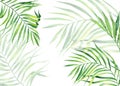 Background frame in watercolor style. Exotic coconut leaves. Natural print. Bright green tropical frame for greeting cards, web de