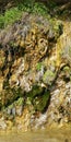 Background. Freakish cliffs covered with moss and plants. A rare natural phenomenon - weeping rocks.