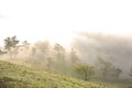 Background with fresh air, magic light and dense fog cover forest in the plateau at dawn part 1 Royalty Free Stock Photo