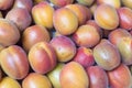 Bio Apricots