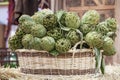 Background of fresh artichokes. Background of fresh artichokes. Fresh artichokes on display at the farmers` market for sale. Royalty Free Stock Photo