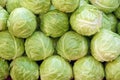 Cabbages Royalty Free Stock Photo