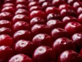 Background of fresh cherry berries. Royalty Free Stock Photo