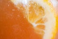 Background of fresh cold citrus lemonade