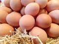 background of fresh eggs on an outdoor market stall in Barcelona, ??Spain Royalty Free Stock Photo