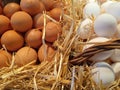 background of fresh eggs on an outdoor market stall in Barcelona, ??Spain Royalty Free Stock Photo