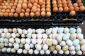 Background of fresh eggs for sale at a market Royalty Free Stock Photo