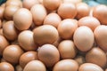 Background of fresh eggs for sale at a market Royalty Free Stock Photo