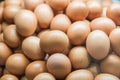 Background of fresh eggs for sale at a market Royalty Free Stock Photo