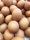 Background of fresh eggs for sale at a market Royalty Free Stock Photo