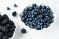 Background of fresh fruits and berries. Ripe blackberries  blueberries  plums  raspberries. Mix berries and fruits. Top view. Royalty Free Stock Photo