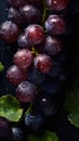 Background of Fresh Grapes with droplets of water , Sweet grapes isolated Royalty Free Stock Photo