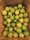 Background of fresh green limes closeup, fruits on sale, mobile photo Royalty Free Stock Photo