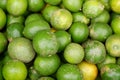 Background of fresh green limes closeup