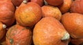 Background of fresh orange ripe pumpki