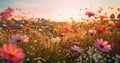 background violet pink blooming sunlight beautiful sunset field meadow flower nature. Generative AI.