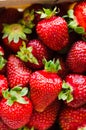 Background of fresh ripe strawberries macro. Organic juicy berries