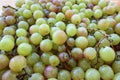 Green red grapes background Royalty Free Stock Photo