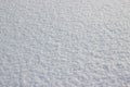 Background of fresh snow. White snow texture on a sunny winter day. Soft focus Royalty Free Stock Photo