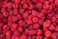 Background of fresh and sweet ripe raspberries