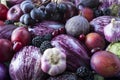 Purple food. Background of fresh vegetables and fruits. Purple eggplant, backberries, grapes, plums, figs, apples, grape and garli