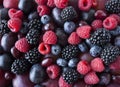 Background of fresh vegetables and fruits. Ripe blackberries, blueberries, plums, pink grapes, raspberries. Mix berries and fruits Royalty Free Stock Photo