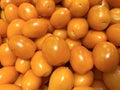 Background of fresh yellow tomato Royalty Free Stock Photo