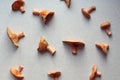 Background of freshly picked redheads on the kitchen table, top view, close-up Royalty Free Stock Photo