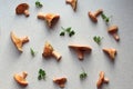 Background of freshly picked redheads with sprigs of parsley on the kitchen table, top view, close-up Royalty Free Stock Photo