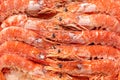 Background of frozen cooked tiger shrimps from above